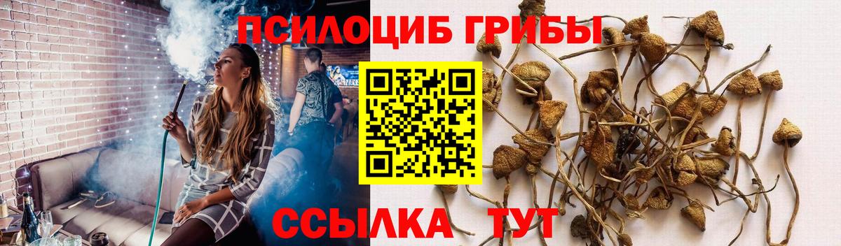 Галлюциногенные грибы ЛСД  Галлюциногенные грибы прущие грибы  Вход с VPN  Чита 
